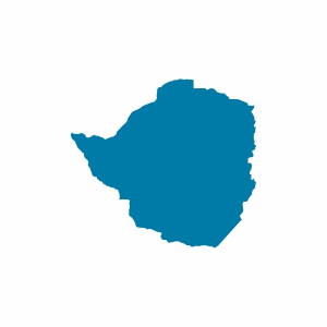 Zimbabve Vizesi